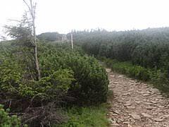 Góra Pięciu Kopców